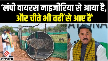 Nana Patole: "Lumpy Virus नाइजीरिया से आया है और चीते भी वहीं से आए हैं केंद्र सरकार की साजिश है "