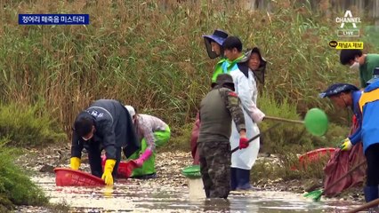 닷새째 85톤…의문의 정어리 떼죽음