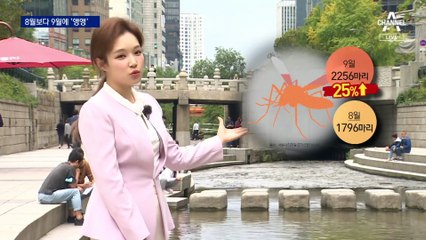 8월보다 9월을 사랑한 모기…“작별은 일러”