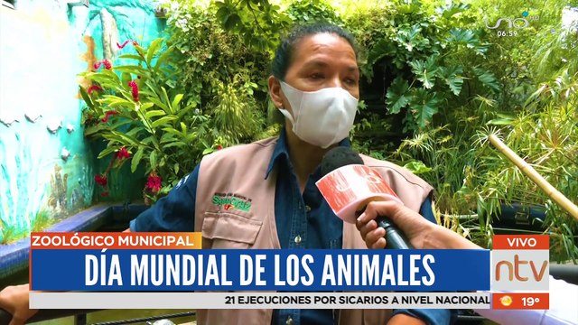 Hoy 04 de octubre se celebra el Día Mundial de los Animales y su protección.