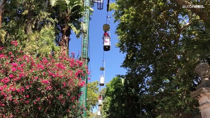 Под угрозой исчезновения находятся десятки тысяч видов животных