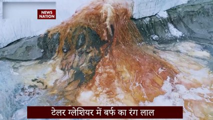 Climate Change : ग्लेशियर में खून के झरने की मिस्ट्री! बर्फ का रंग क्यों हुआ ब्लड जैसा लाल ?