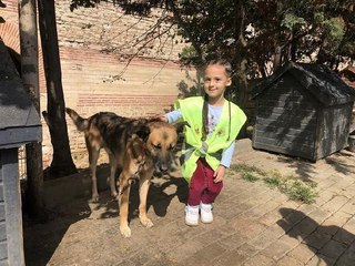 Yüzlerce öğrenci Yedikule Hayvan Barınağı'nı ziyaret etti