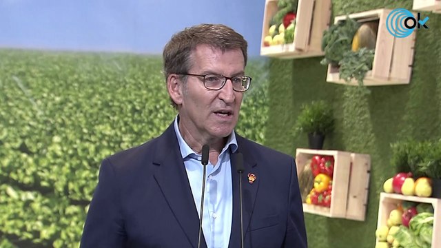 Feijóo tilda los Presupuestos de «antisociales» por no bajar impuestos a las clases medias