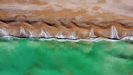 NATURE SCENE: ADVANCED 4K FREE DOCUMENTRY | NATURE 4K PART - 1