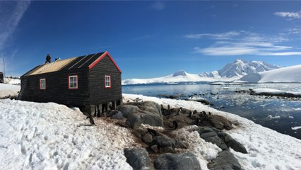 Ces quatre femmes vont diriger le bureau de poste le plus isolé du monde, en Antarctique