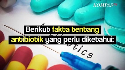 Fakta tentang Antibiotik yang Harus Kamu Tahu dan Waspadai