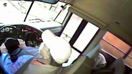 لا أنصح ضعاف القلوب __ حيونات تصدم على الطريق