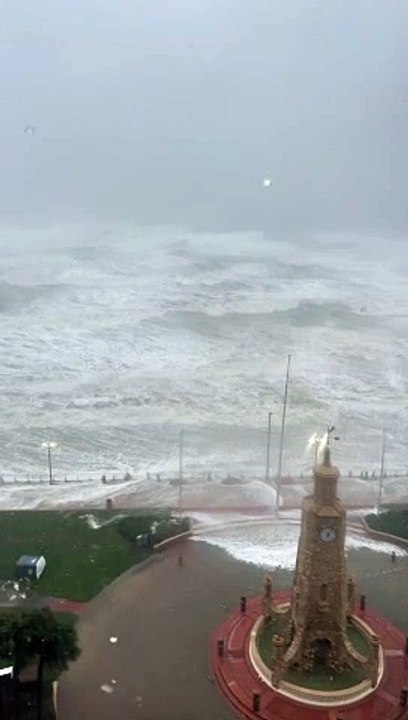 Wild Waves in Florida