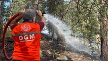 Son dakika haber | Sarıkamış'ta ormanlık alanda çıkan örtü yangını orman kahramanları tarafından söndürüldü