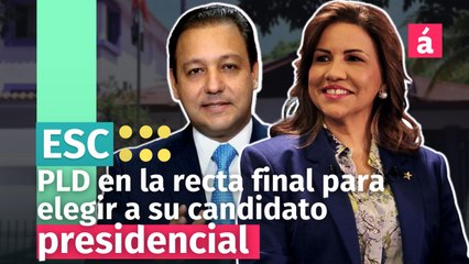 PLD se va a la delantera eligiendo su candidato ¿Quién ganara?