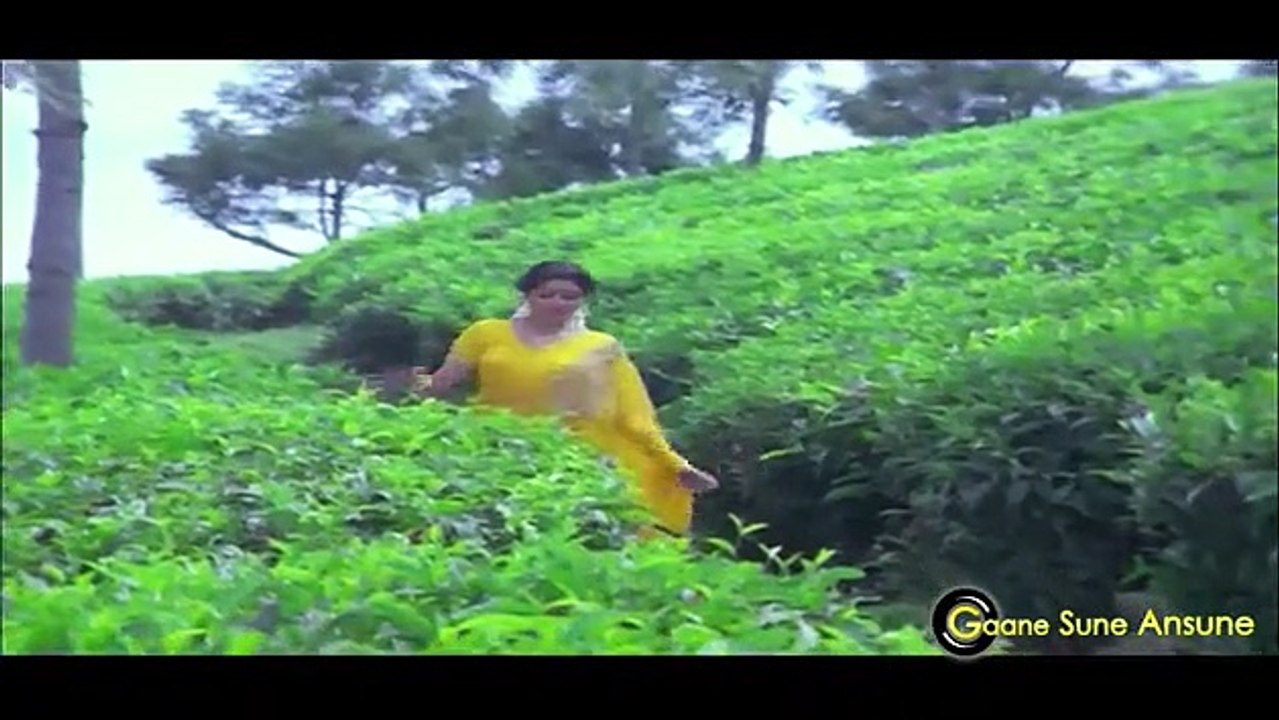 Patthar_Ke_Sanam_Kuchh_Bol_Zara,_Jab_Pyar_Kiya_|_Mohammed_Aziz,_Anuradha_Paudwal_|_Watan_Ke_Rakhwale(360p)