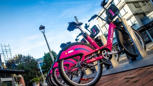 ¿Cómo tratará la Alcaldía el robo de bicicletas del nuevo sistema de Bicis Compartidas ?
