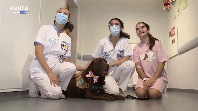 Crianças da ala pediátrica do São João recebem visitas dos animais de quatro patas