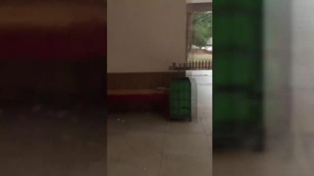 Son dakika gündem: Edirne'de Selimiye Kyk Yurdu Odalarında Böcek Görüldü.