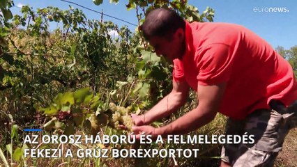 Először csökken Grúzia borexportja az utóbbi húsz évben