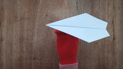 How to make Easy Plane Origami