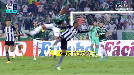 Botafogo x Palmeiras (Campeonato Brasileiro 2022 29ª rodada) 1° tempo