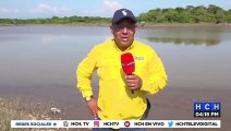 ¡Millonarias pérdidas en camaroneras inundadas por el río Goascorán en Alianza, Valle!
