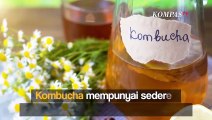 6 Manfaat yang Didapatkan Tubuh Setelah Minum Kombucha