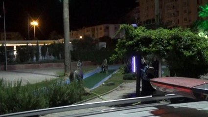 İzmir 3. sayfa haberi... İzmir'de iki grup arasında köpek kavgası: Bir kişi cam şişe ile boğazından yaralandı