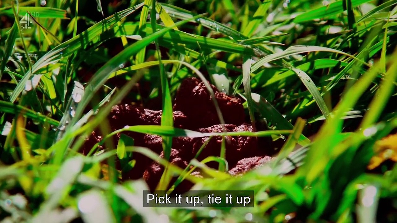 Banged Up Teens Behind Bars Staffel 1 Folge 3 HD Deutsch