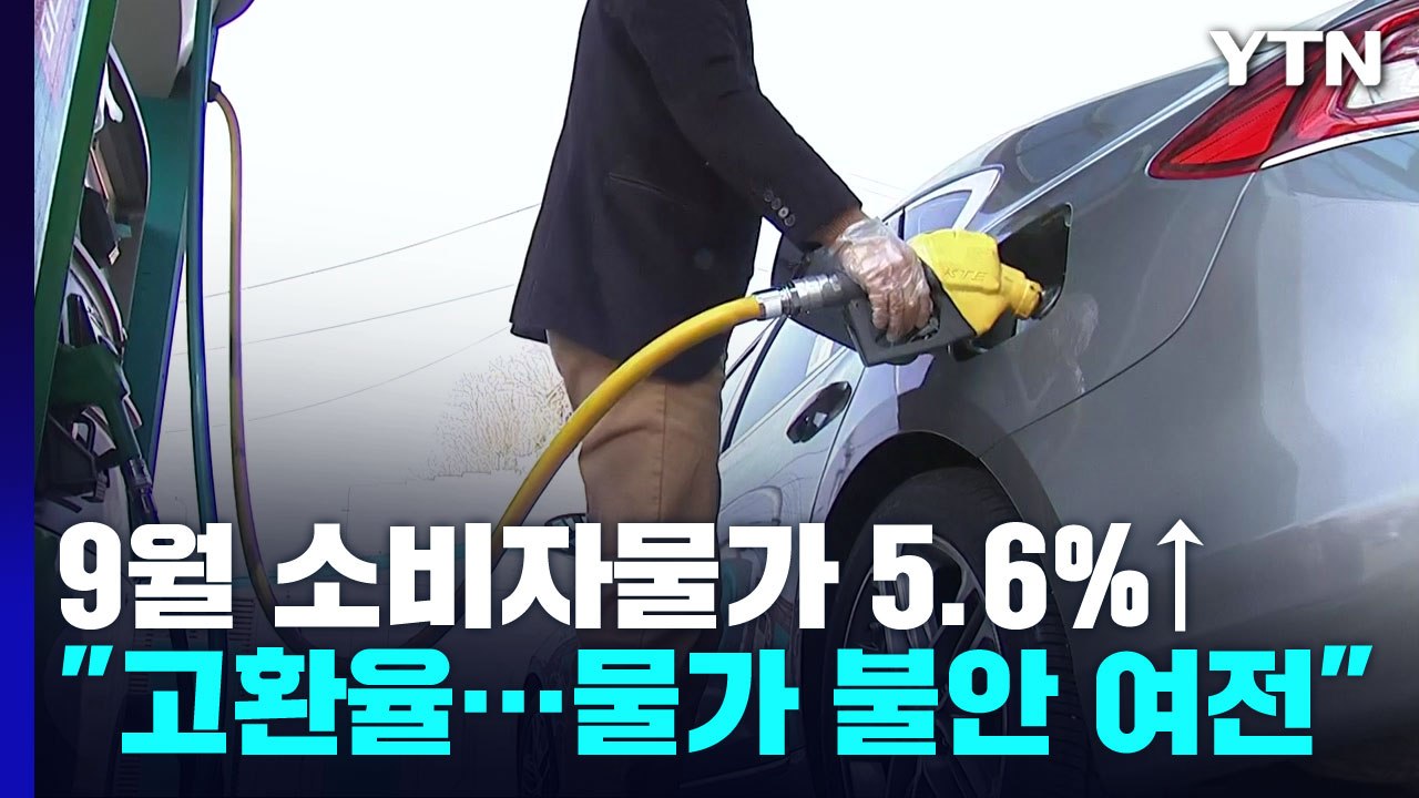 물가 오름세 두 달 연속 꺾였지만...'더 뛸까' 불안 여전 / YTN