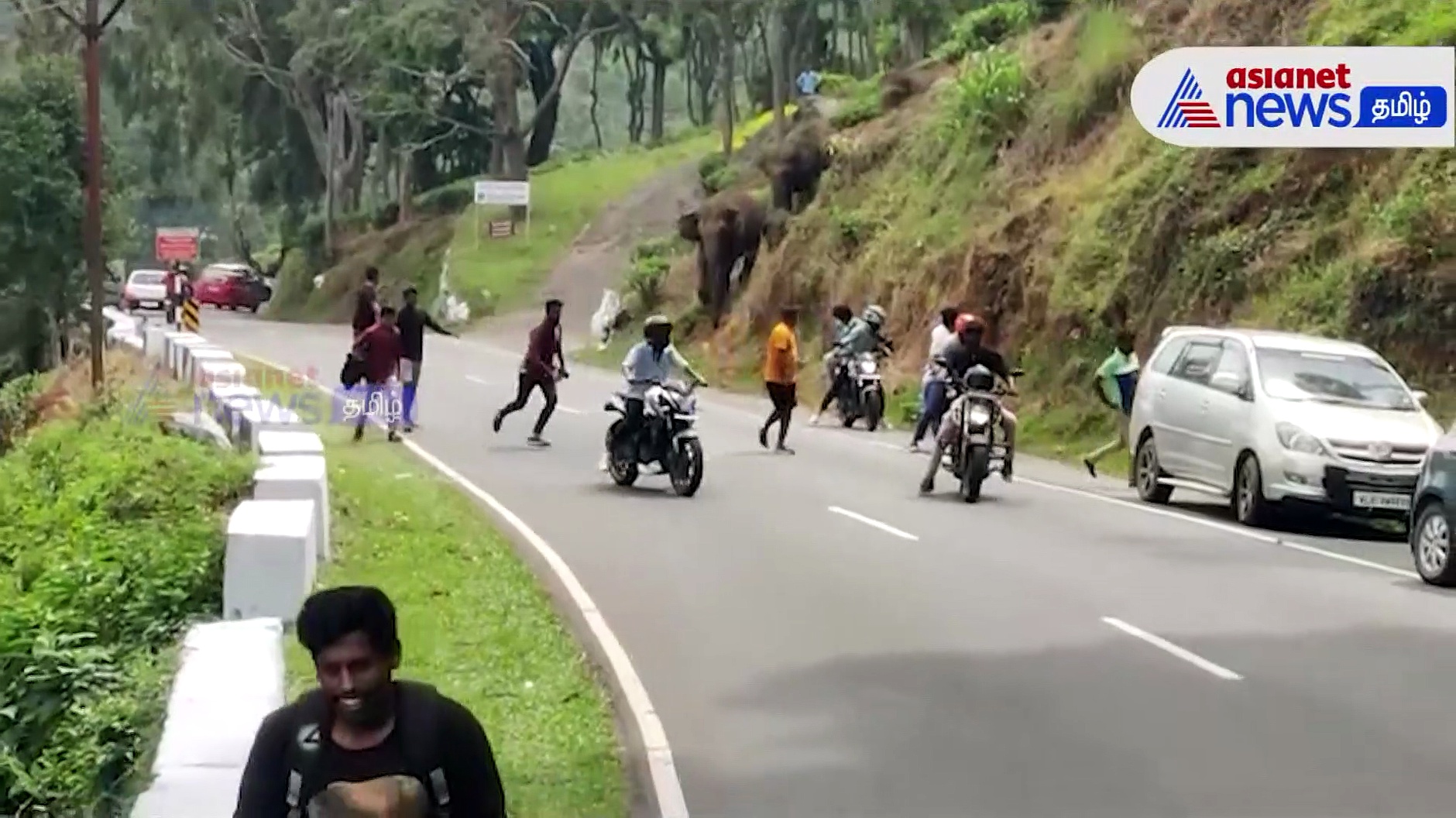 ஒய்யாரமாக சாலையை கடந்த யானை கூட்டம்; அலறியடித்து ஓட்டம் பிடித்த செல்பி பிரியர்கள்