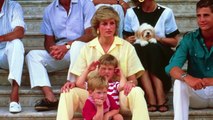 What Did Princess Diana Leave Prince Harry In Her Will