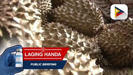 Pag-eexport ng durian mula Davao region patungong China, posible na