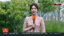 [날씨] 모레까지 강원영동 많은 비…낮에도 서늘