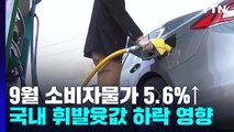 물가 오름세 두 달 연속 꺾였지만...'더 뛸까' 불안 여전 / YTN