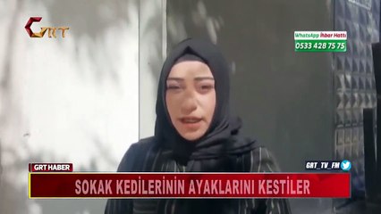 Gaziantep'te neler oluyor? Büyücü hoca, kedi bacağı isteyince katliam oldu!