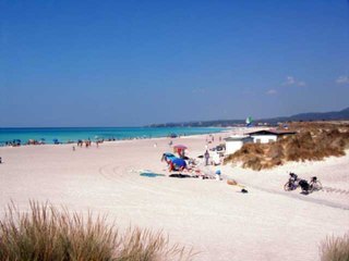 Descargar video: Attention, ne vous fiez pas à l'aspect paradisiaque de cette plage