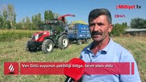 Van Gölü suyunun çekildiği bölge, tarım alanı oldu