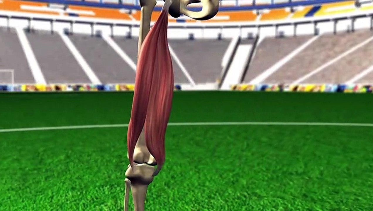 Football injuries Hamstring strains video Dailymotion