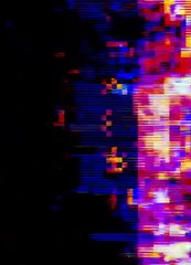 Only These Dogs Are More Territorial Than a Kangal