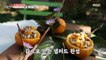 [Tasty] a salad made from persimmons, 생방송 오늘 저녁 221005