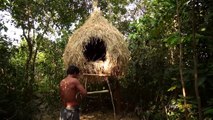 Building Bird Nest Tree House To Stay in The Jungle - Jungle Survival