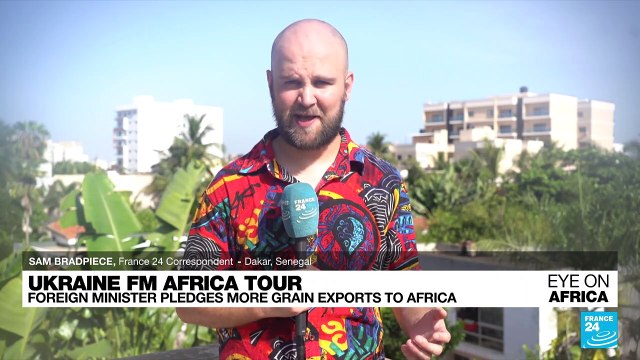 Ukraine foreign minister pledges more grain exports during Africa tour