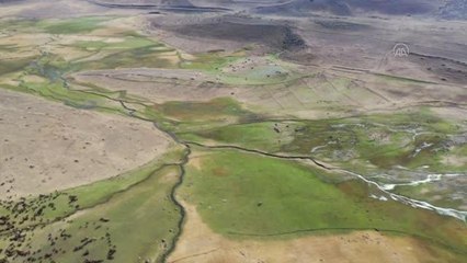 Çocuk yaşta başladığı çobanlıkla 40 yıldır geçimini sağlıyor