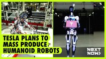 Tesla plans to mass produce humanoid robots | Next Now