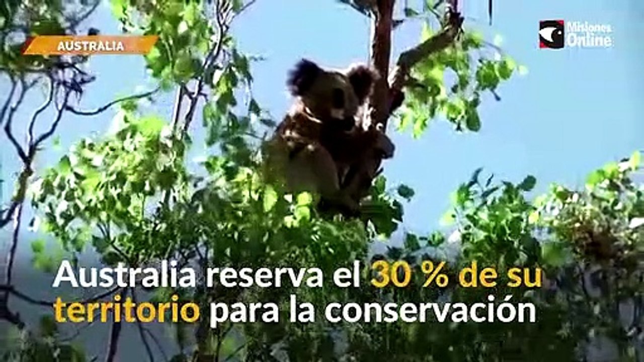 Reservarán el 30 % del territorio para la conservación de la flora y fauna