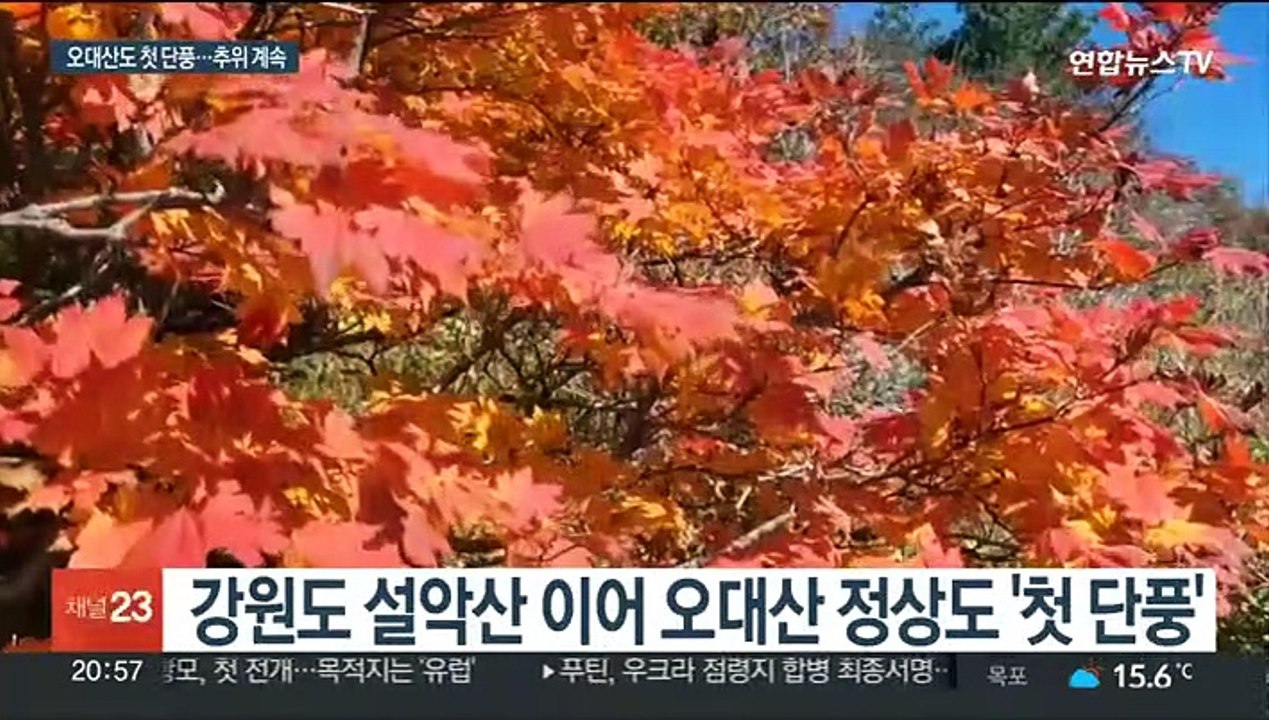 깊어가는 가을, 오대산도 첫 단풍…가을 추위 계속