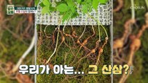 뼈 건강 되찾은 관절 어벤저스의 비결 ˹소나무 뿌리˼ TV CHOSUN 20221005 방송