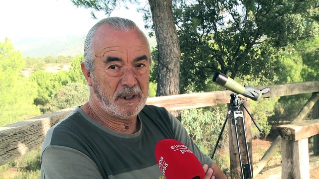 La época de celo de los ciervos ofrece en La Siberia extremeña el espectáculo de la berrea