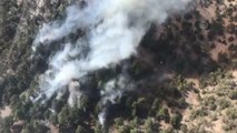 Son dakika haber | Adana'da çıkan orman yangını kontrol altına alındı