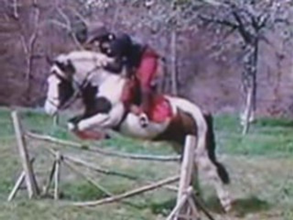 Pirouette en saut