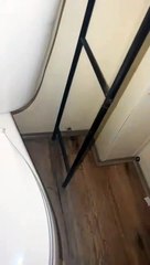 Ce Cricket Araignée Ne Joue Pas - Buzz Buddy