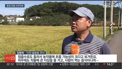 카드뮴 나와도 문제 없다?…토양오염 사각지대